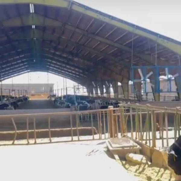 1722681964607.webp