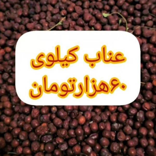 1722769066444.webp