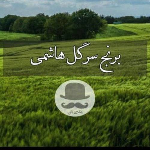 1724822387489.webp