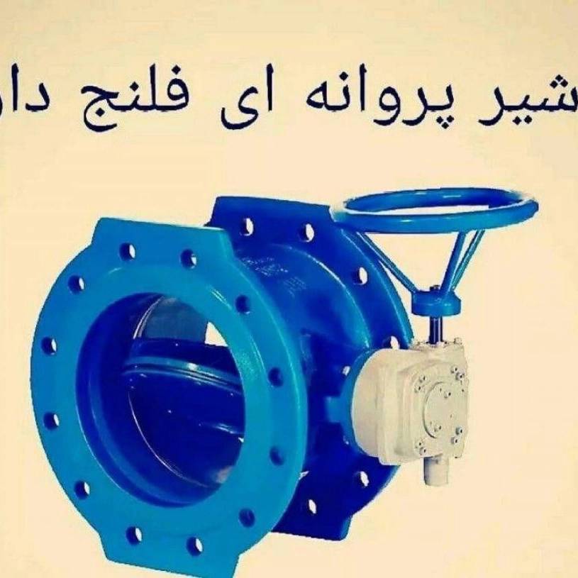 1727080086608.webp