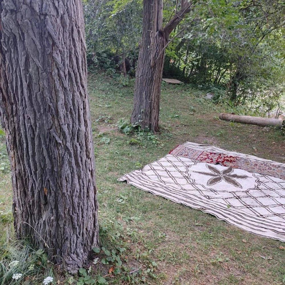 1730368816628.webp