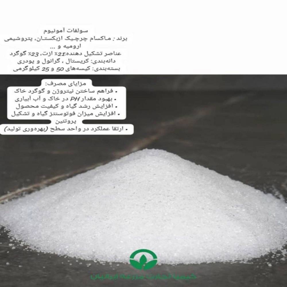 1730541047638.webp