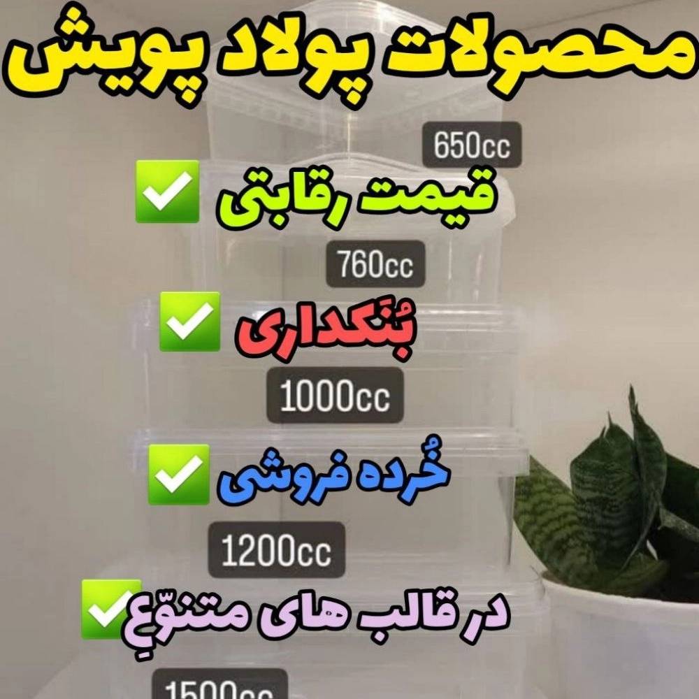 1730637325603.webp