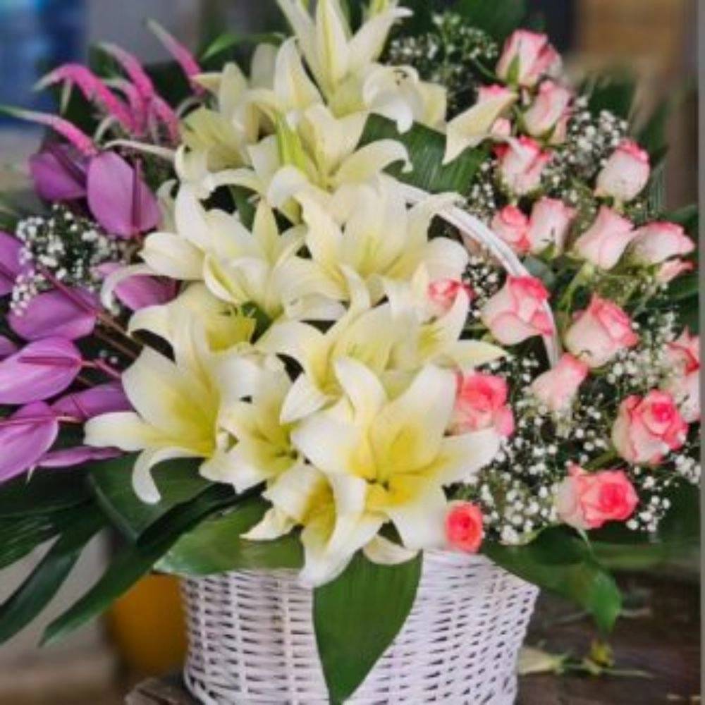 1732174580451.webp