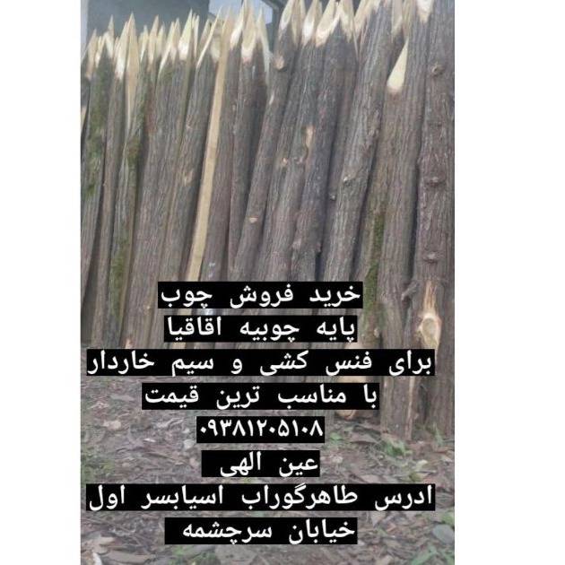 1732512077069.webp