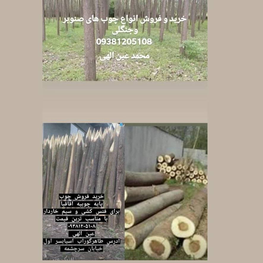 1732512111020.webp