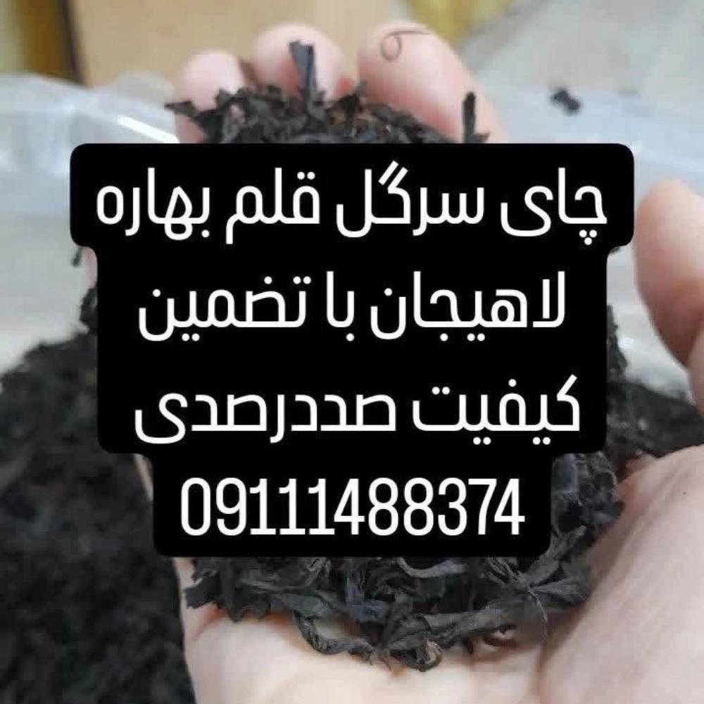 1734589501186.webp