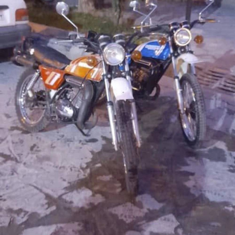 1736163991246.webp