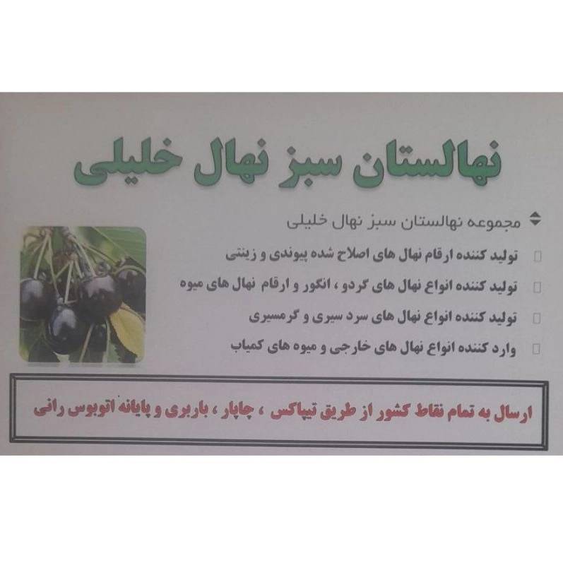 1740391558721.webp
