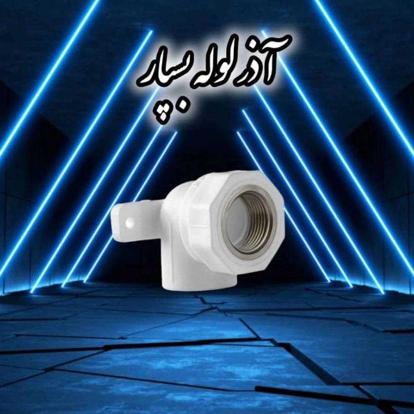 1755600540187.webp