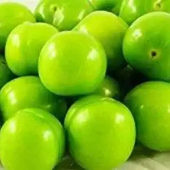 1756974758252.webp