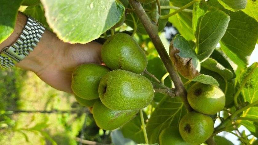 از سایت ما دیدن فرمایید