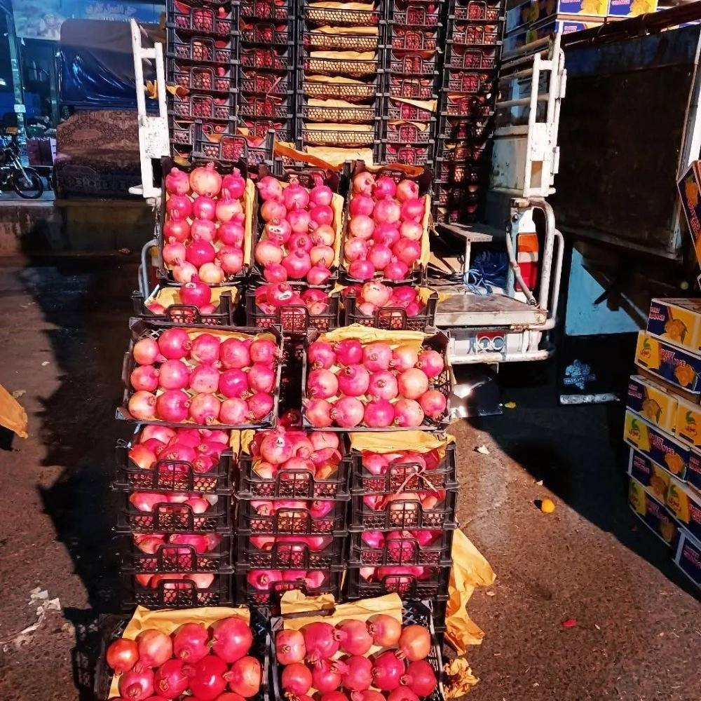 1764064228110.webp