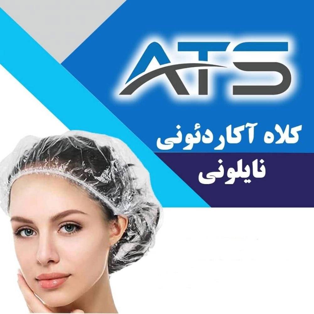 1764758048650.webp