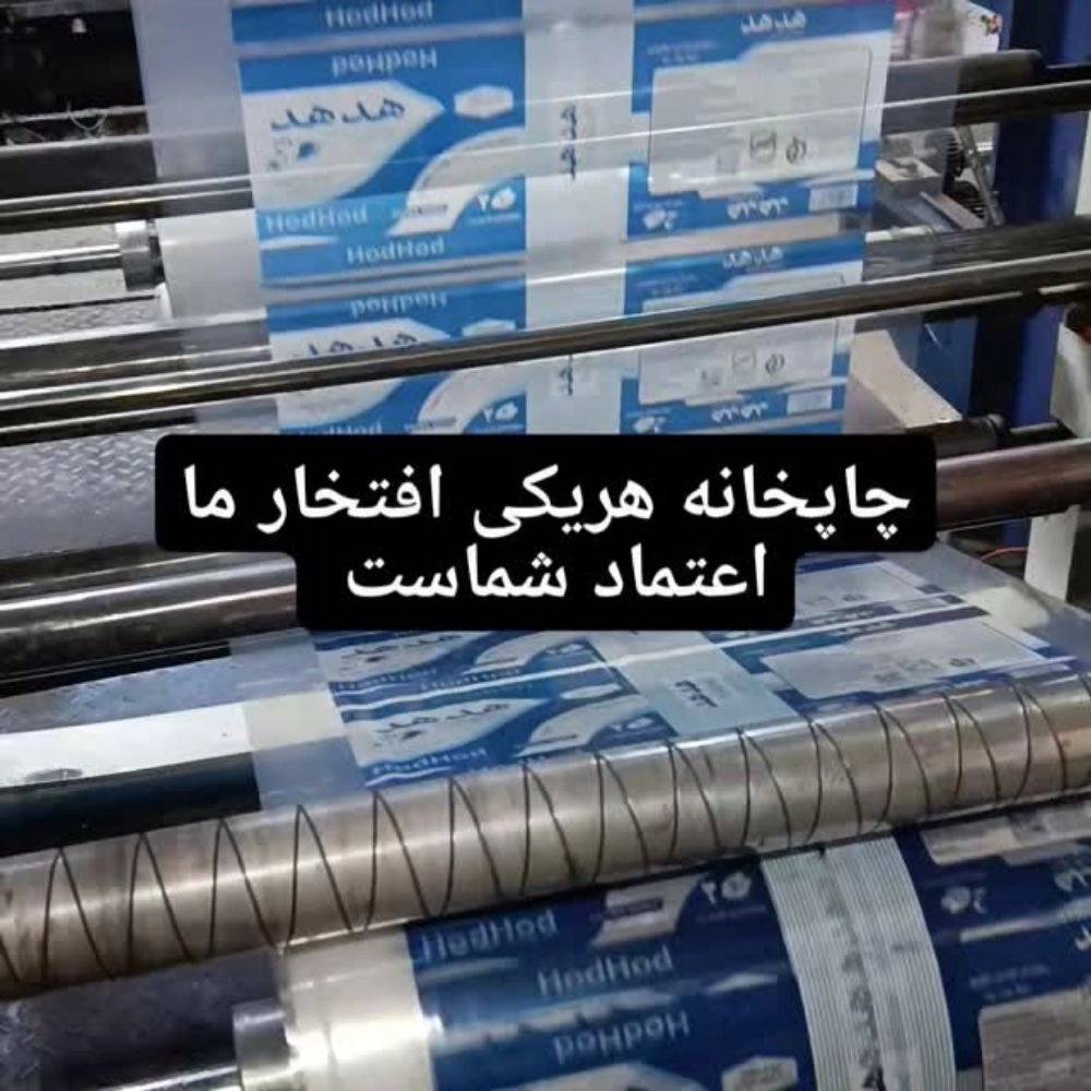 1765273647840.webp