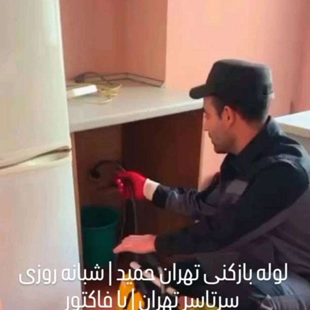 1765706348769.webp