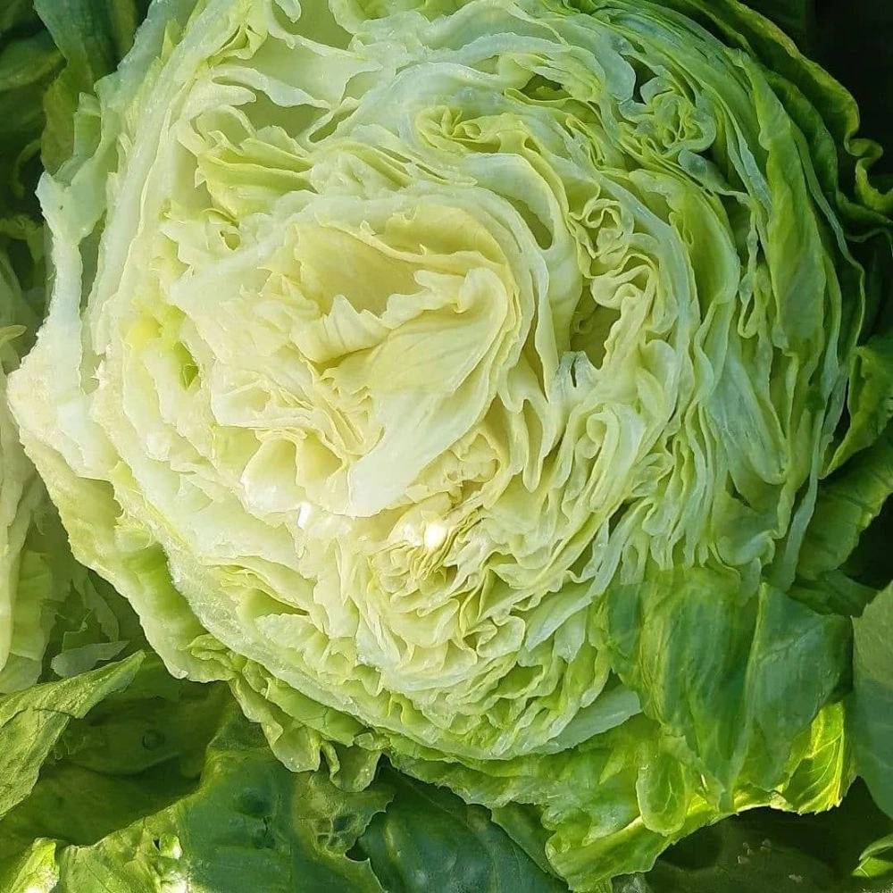 1765956094589.webp