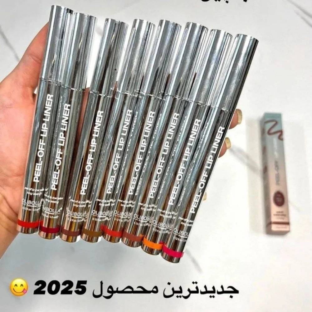 1766490323058.webp
