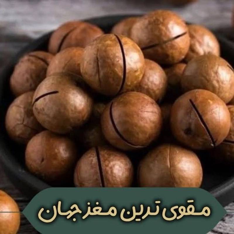1766564746913.webp