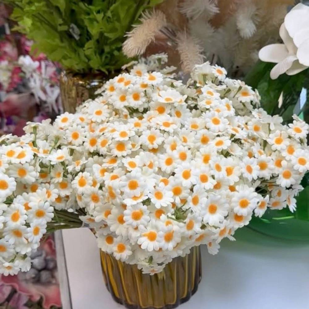 1767009392650.webp