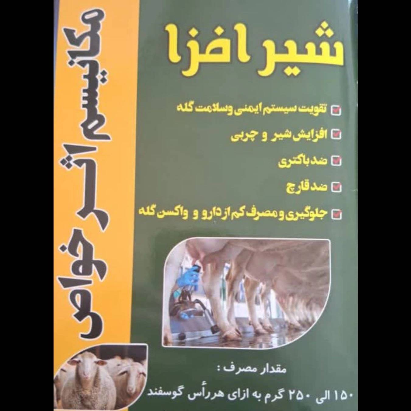 1770718393232.webp