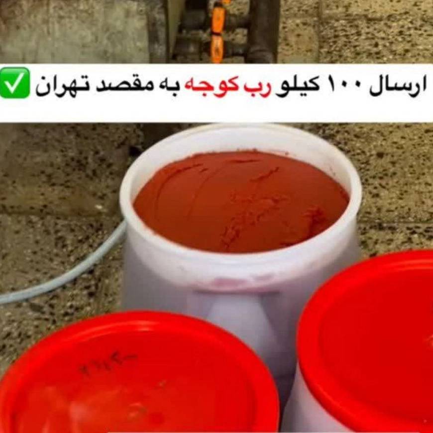 1771926725002.webp