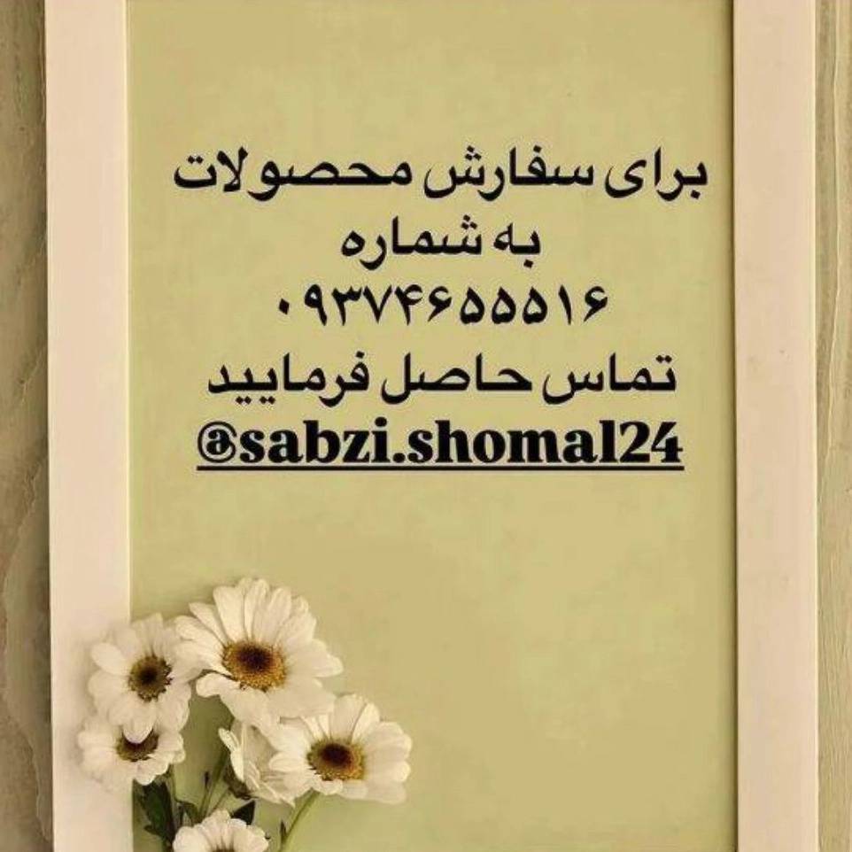 1773645032217.webp