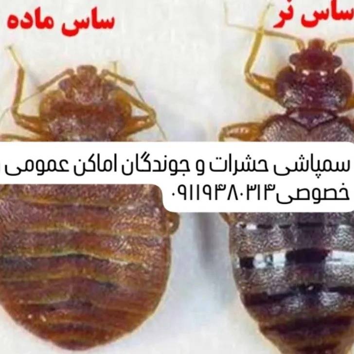 1773652384377.webp