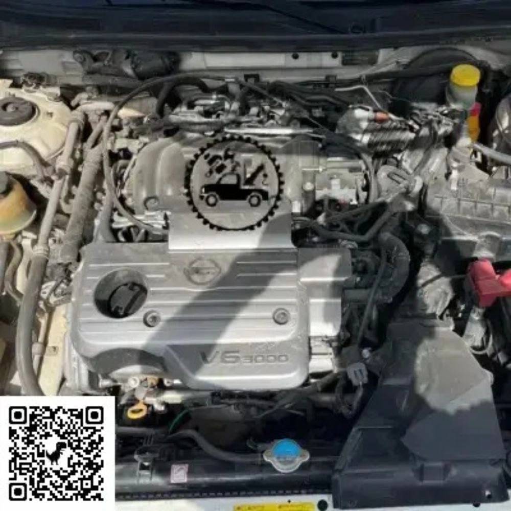 1777377245839.webp