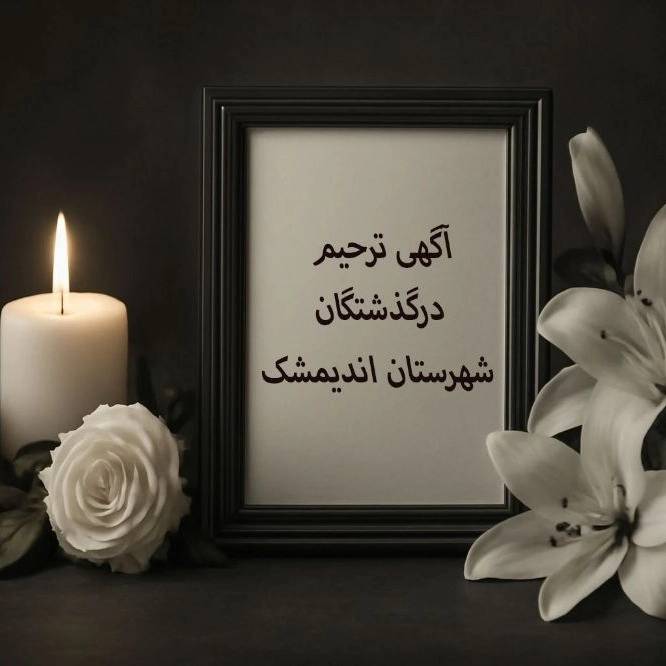1778317404898.webp