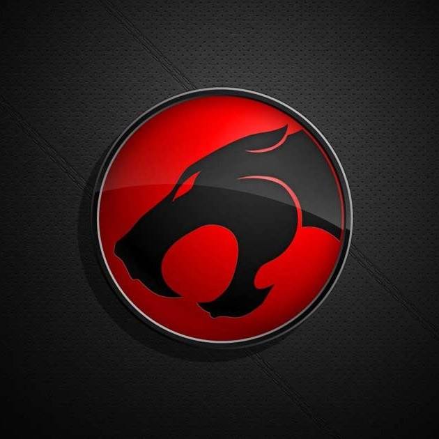 1779532195355.webp