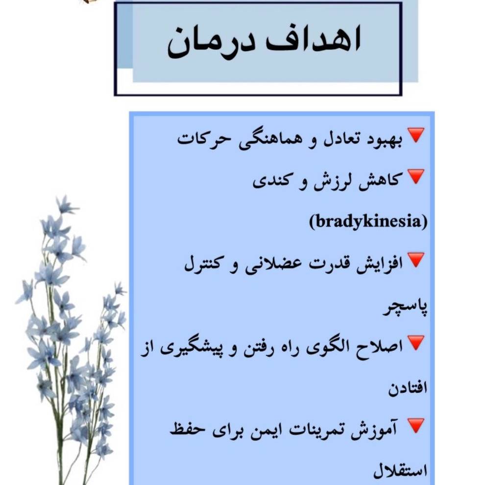 1781762822570.webp