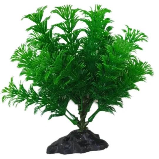 1690964317834.webp
