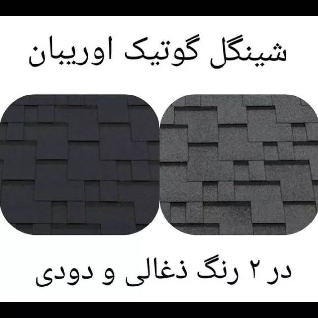1688283929663.webp
