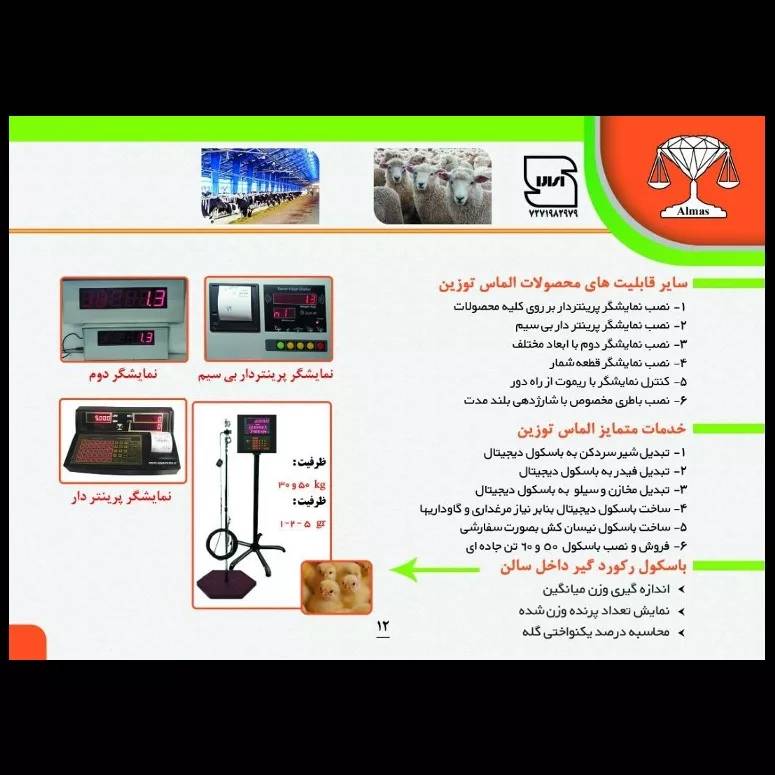 1689572413296.webp