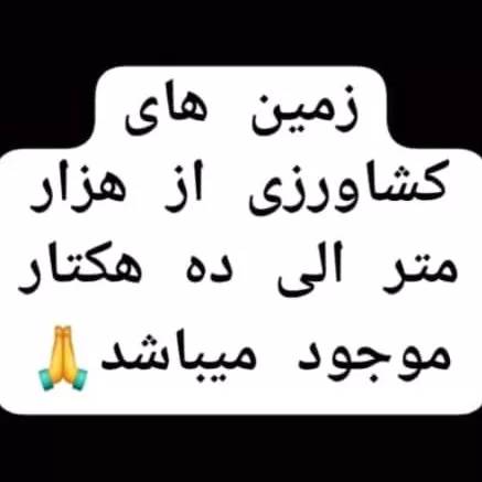 1690114174738.webp