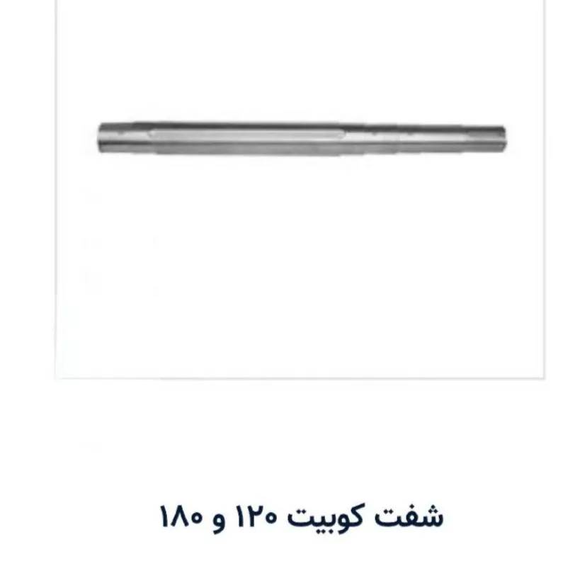 1691324923428.webp
