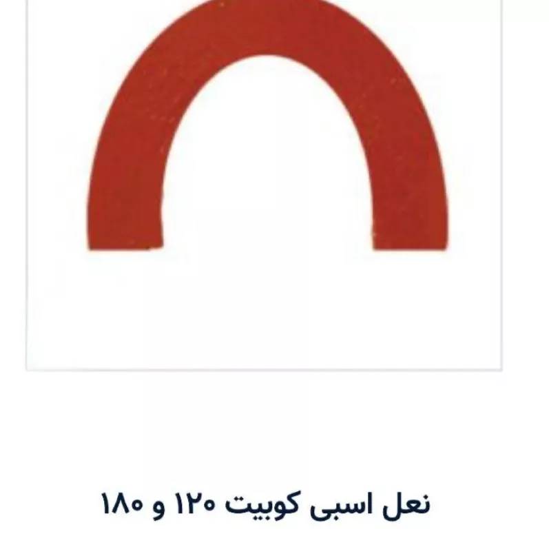 1691324944857.webp
