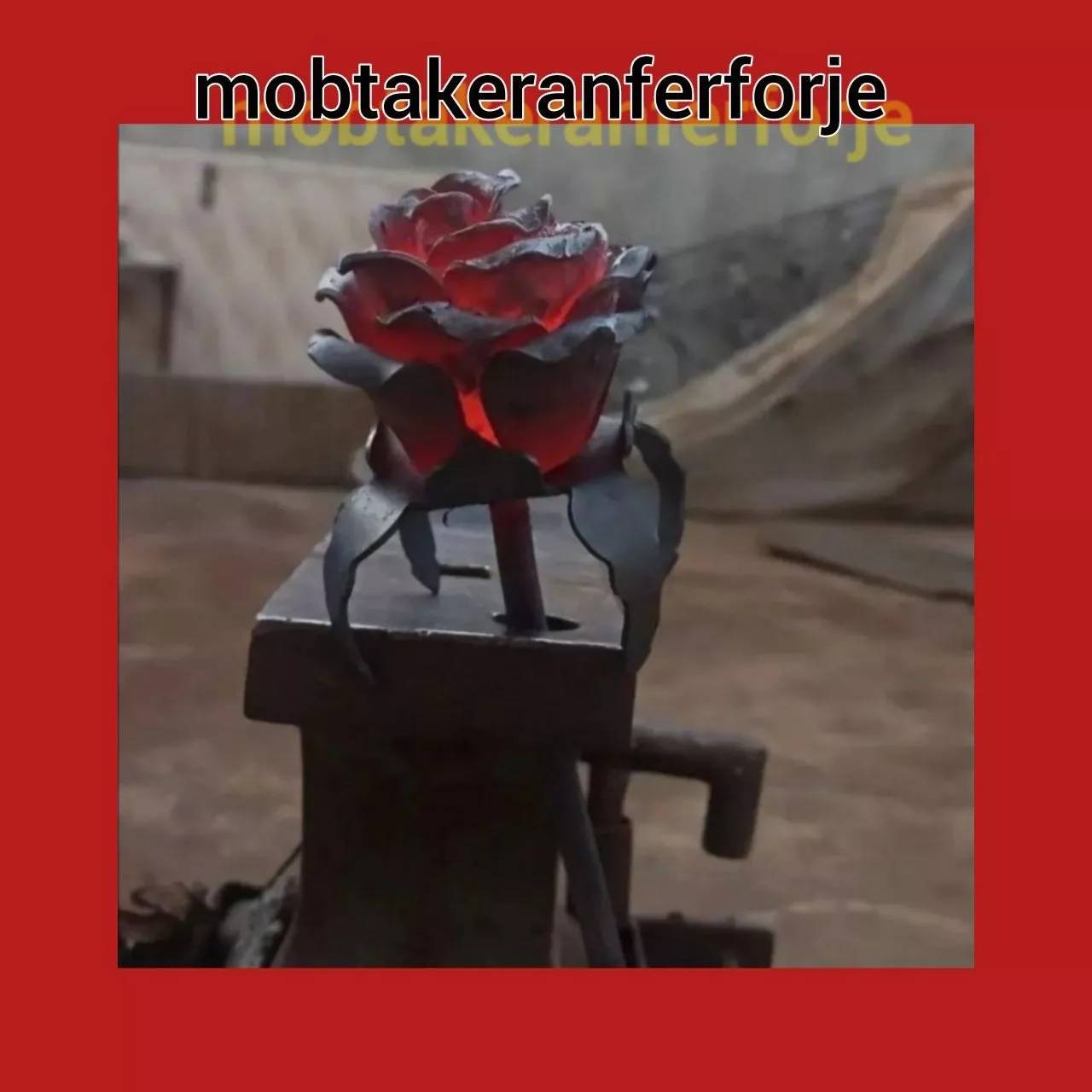 1693642036086.webp