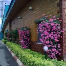 1693651862223.webp