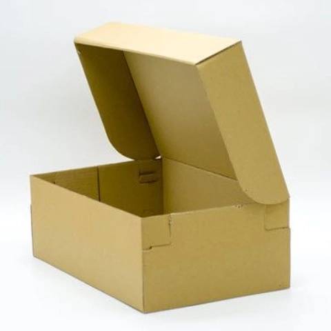 1696069344454.webp
