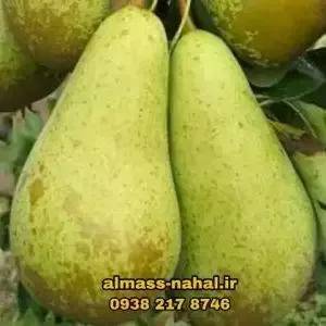 1696223707942.webp