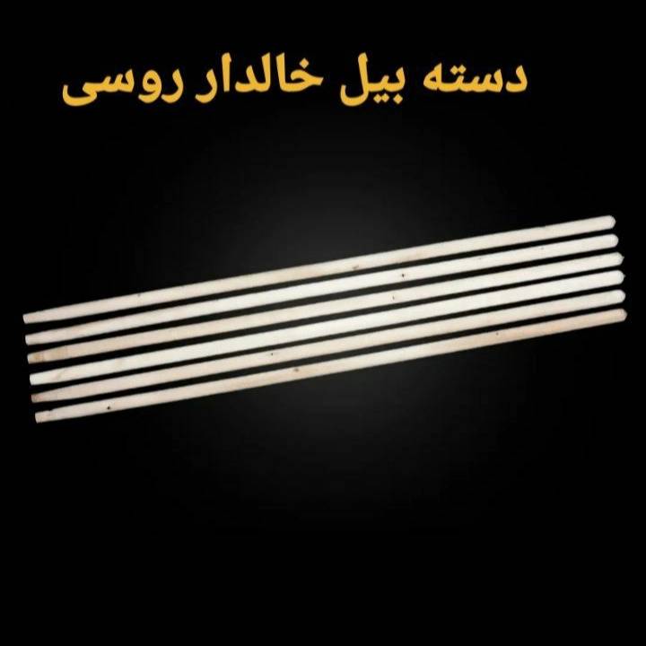 1696668979356.webp