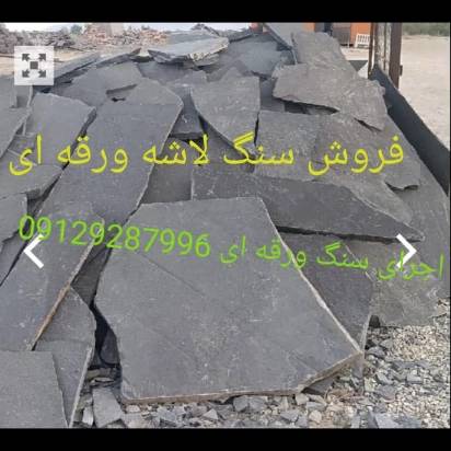 1696923761600.webp