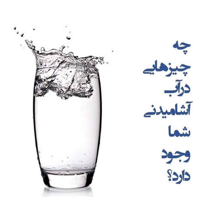 1697438110207.webp