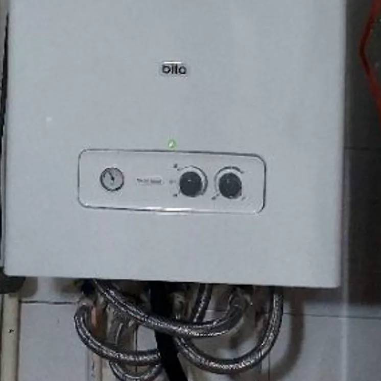 1698530581659.webp