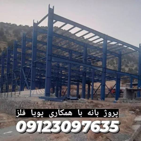 1698840825413.webp