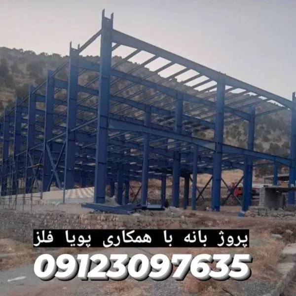 1698840835336.webp