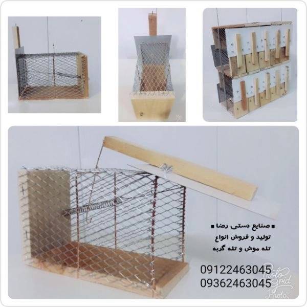 1700555923733.webp