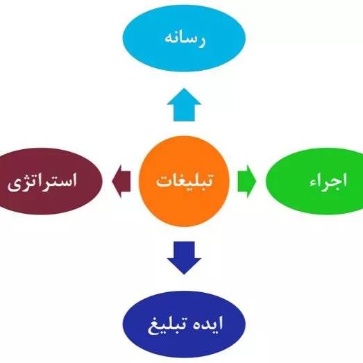 1700636772736.webp